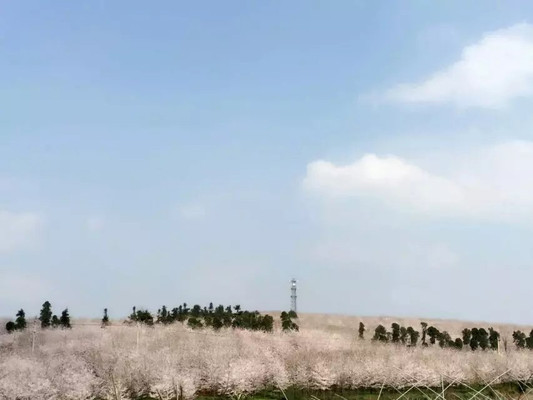 曾厝垵、鼓浪屿、日光岩、南普陀、厦门大学、和贵楼、云水谣、怀远楼之一个人旅行——鹭岛情深