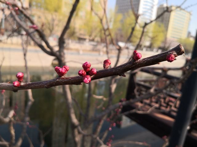 金中都城墙遗址公园旅行图片 8