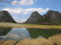 普者黑风景区游记图片] 大美普者黑之普者黑村、露营基地（系列九）