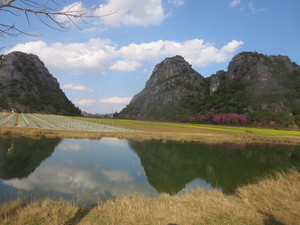普者黑风景区游记图文-大美普者黑之普者黑村、露营基地（系列九）