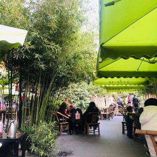 成都美食博大精深，我来一探究竟