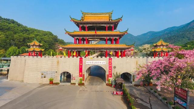 离深圳不到半小时、离广州不到1小时,藏着一个森林康养福地