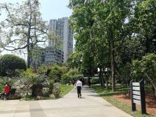 晓港公园-广州-魔女锦鲤