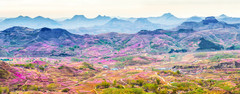 中国游记图片] 藏在山东深山，中国最美小镇：十里桃花盛开，再被央视点名