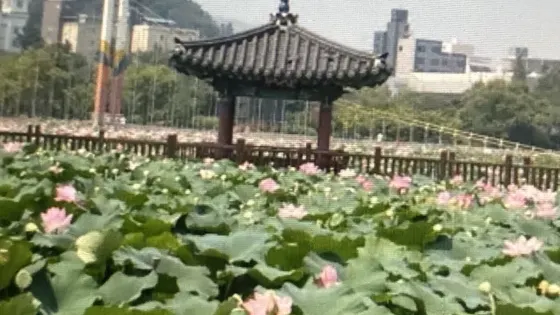 德津公園