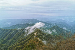 石泉游记图片] 走进山水之都石泉，登智慧之巅  游鬼谷仙山  赏醉美春天