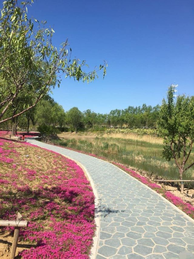 奥北森林公园二期北区旅行图片 4