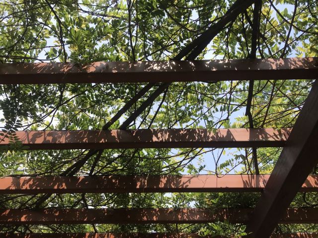 古藤园旅行图片 2