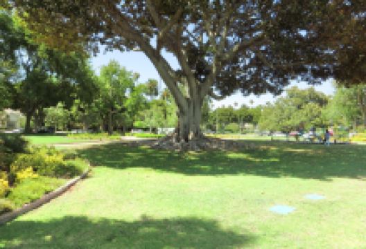 Recreation Park景点图片