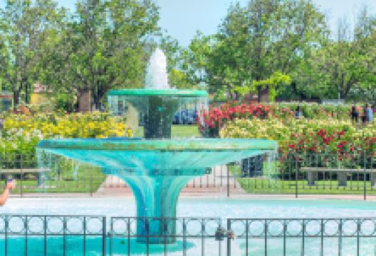 圣何塞市立玫瑰园景点图片