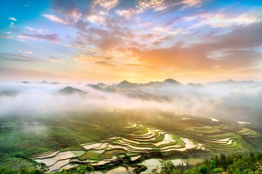 高要梯田