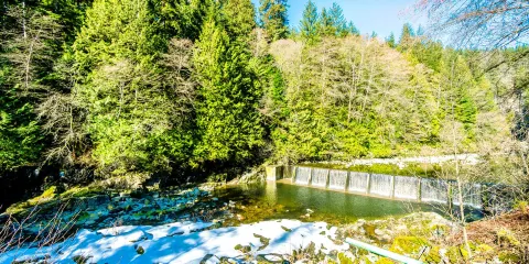 卡皮蘭諾鮭魚孵化場