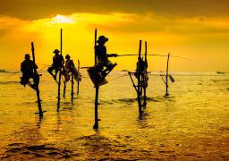 travel picture