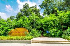 龙岗八仙岭公园-深圳-行男侃叔