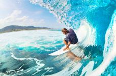 冲浪者天堂-doris圈圈