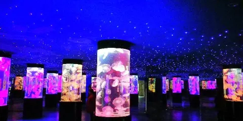 九豐夢幻海洋樂園