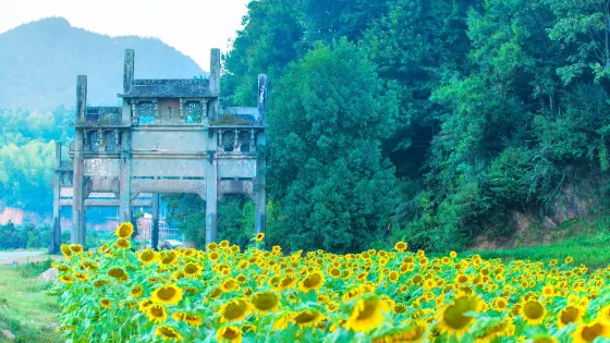 蜀源村