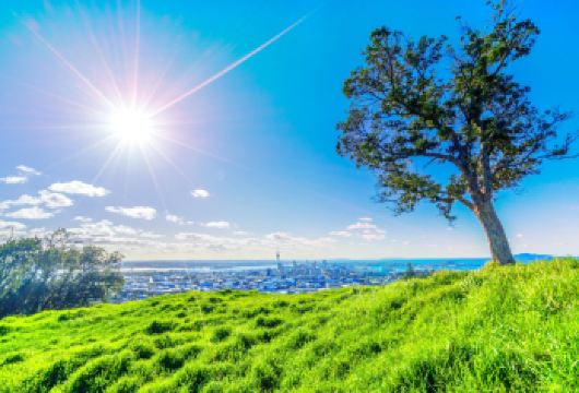 新西兰伊甸山+天空塔+皇后大街+一树山+普普基湖【行程可调】【精品包车，私享空间，上门接送，轻松出行】