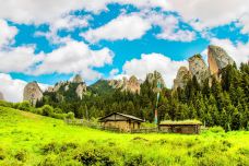 则岔石林-碌曲-doris圈圈