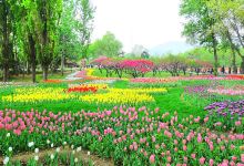 花海乐园景点图片