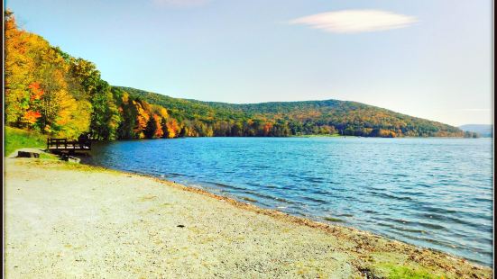 Allegany State Park旅遊攻略指南 Allegany State Park評價 Allegany State Park 附近推薦 Trip Com