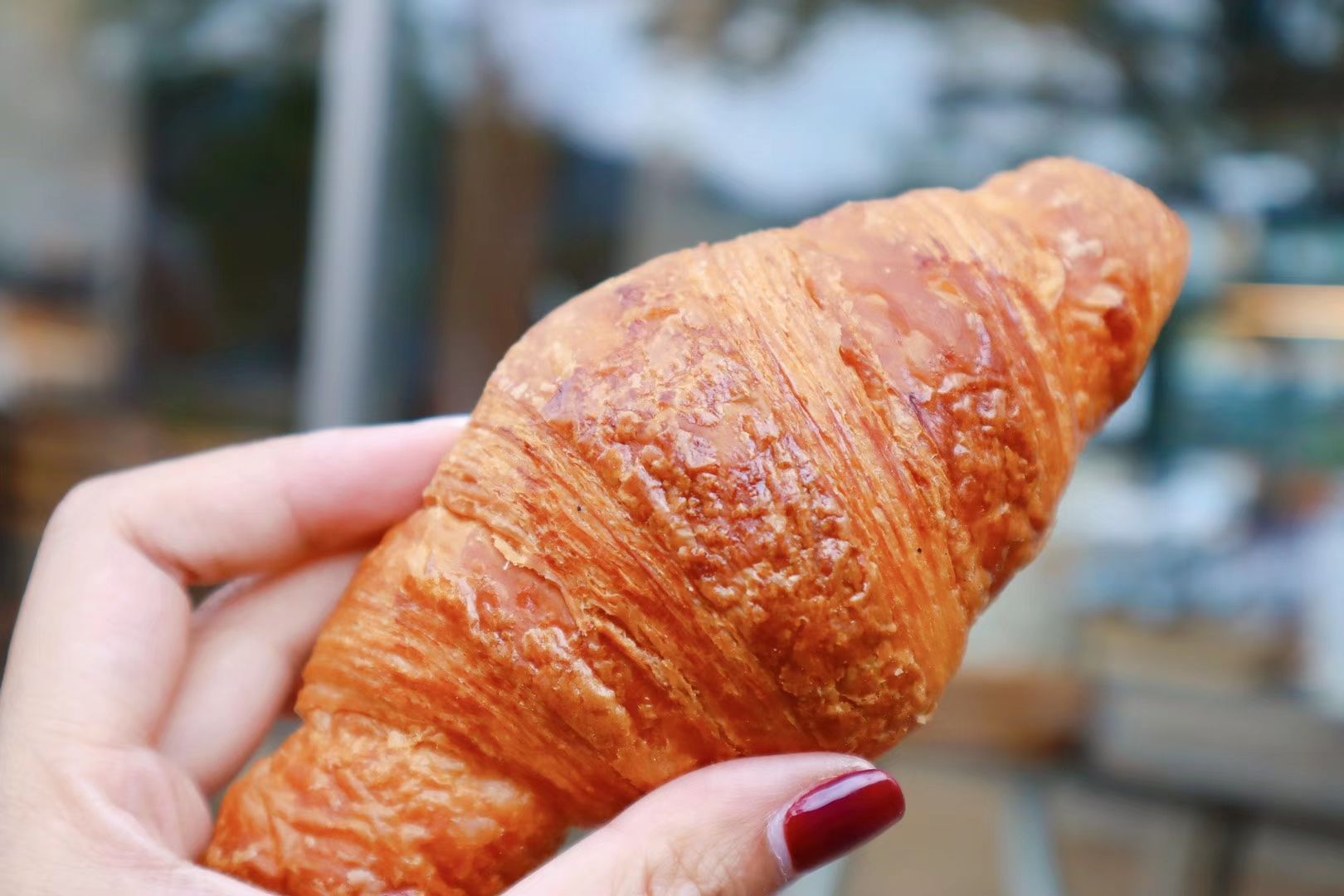 爱达乐(彭州逸都城店)