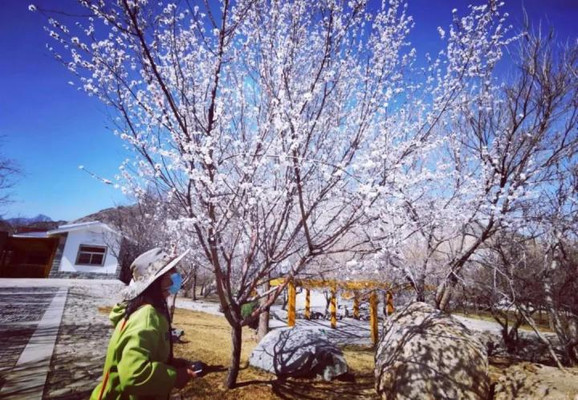 了解宁夏,从这座山的核心开始--贺兰山国家森林公园