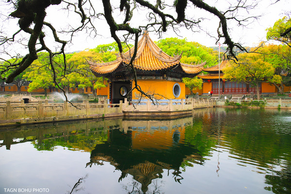 打卡舟山小众路线,悠享碧海蓝天的静谧滨海小城