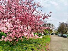 岳屏公园-衡阳-zixunshi99