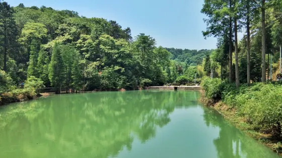 大山沖森林公園