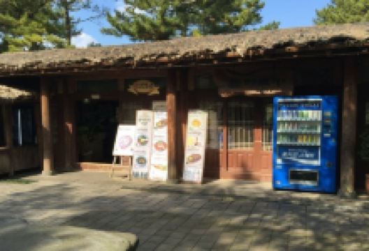 济州翰林公园石爷爷美食图片