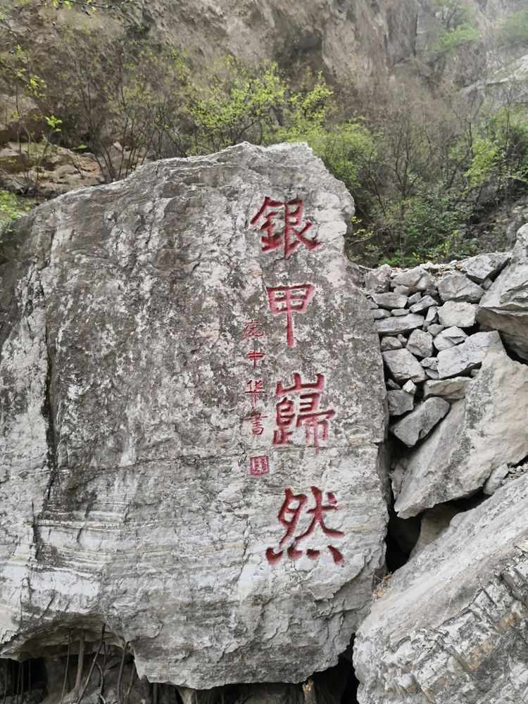 银甲岿然