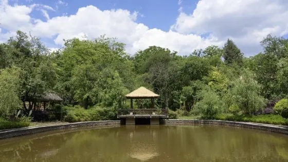 濱河公園