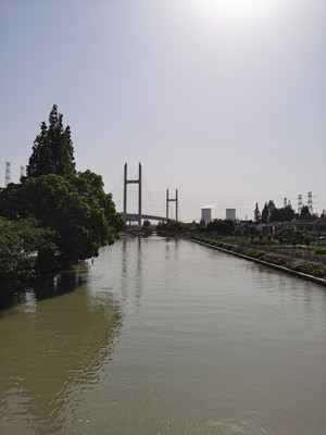 杜行老街,不复存矣