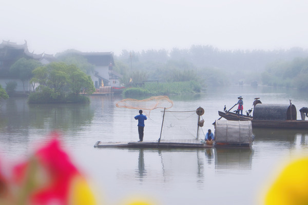 解锁沙家浜隐秘玩法：捕鱼打菜籽漫游花海，芦苇荡中享船宴