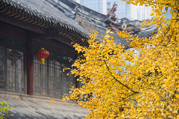 2020端午节成都旅游攻略、成都酒店推荐-成都西姆善居酒店(陕西街店)