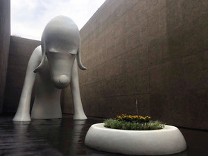 青森市游记图文-觅色寻汤——2018日本秋游追记 6、骑行，遇见青森