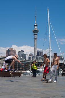 天空塔-奥克兰-漂鸟Wandervoge