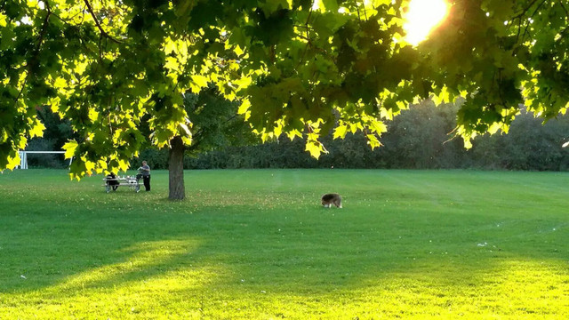 那些行走在路上的时光--加拿大的追枫赏色之旅