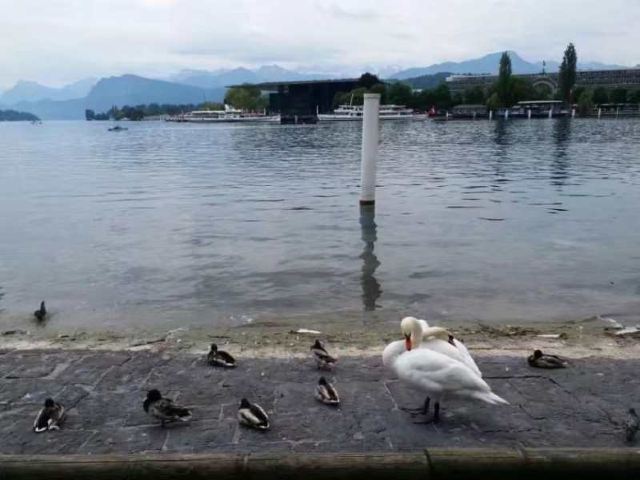 青年湖公园旅行图片 2