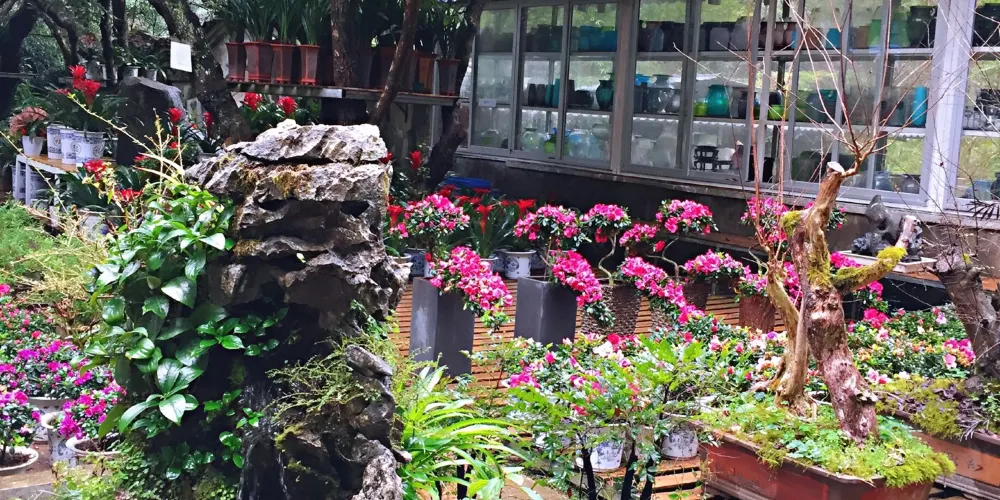 永安旅遊