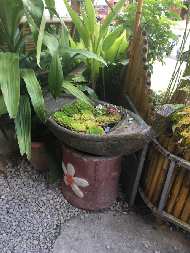 Jungle Kitchen