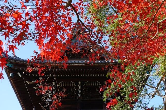 嵐山