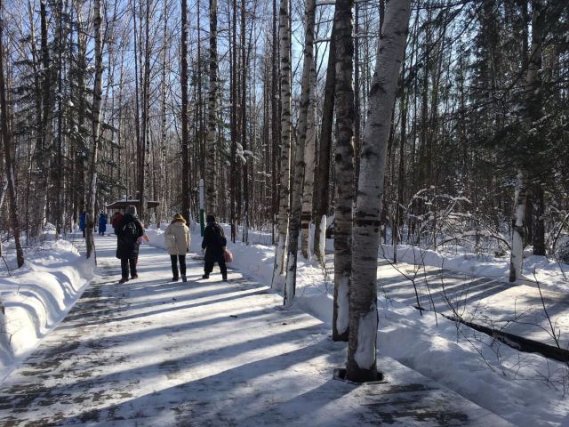 West Slope of Changbai Mountain Scenic Area