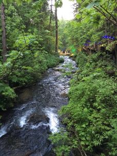 大戏台河风景区-安图-平平淡淡