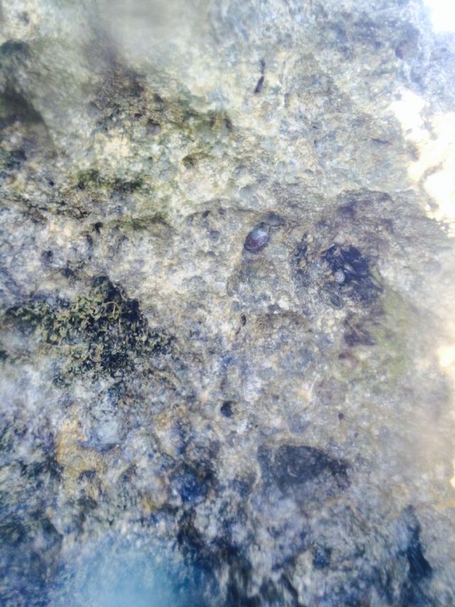 Willy's Rock Formation
