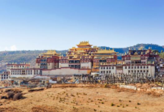 普达措森林公园旅游图片-一路花香的消夏旅途，丽江+香格里拉5日游