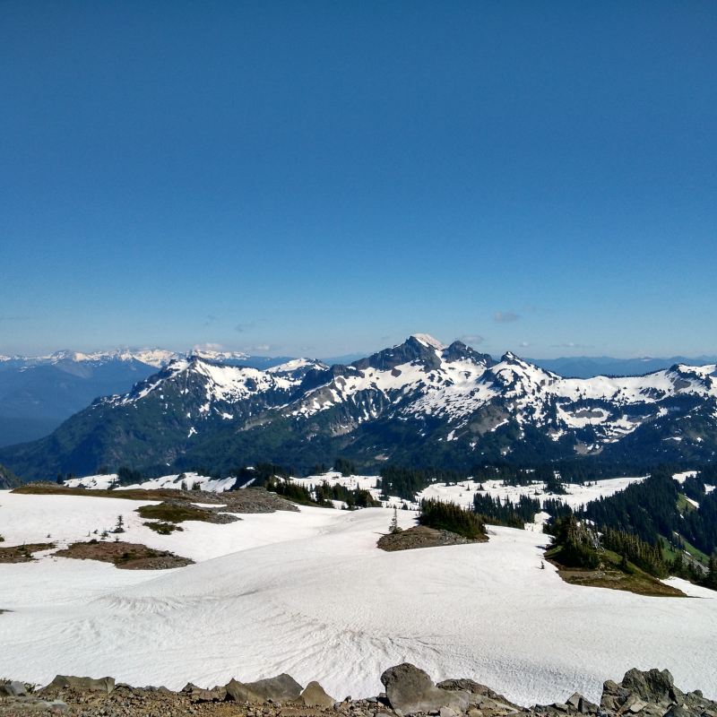 Mount Rainier National Park Travel Guidebook Must Visit
