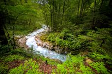 魔法森林-拉姆绍-doris圈圈