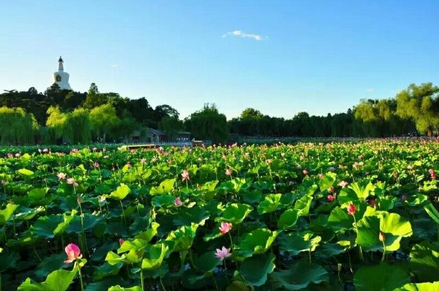Shunfeng Mountain Park